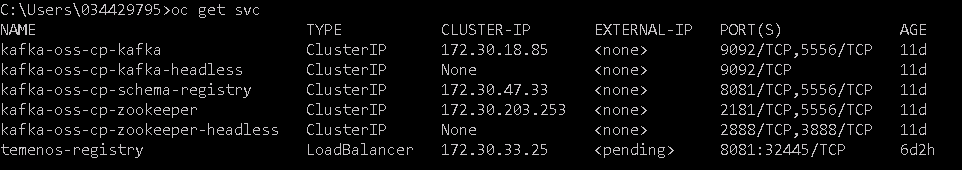 Checking the services Checking the services