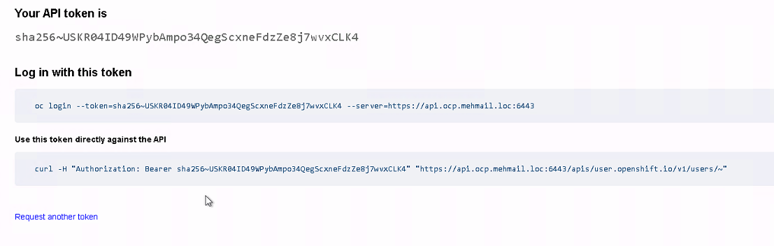 API token to be copied
