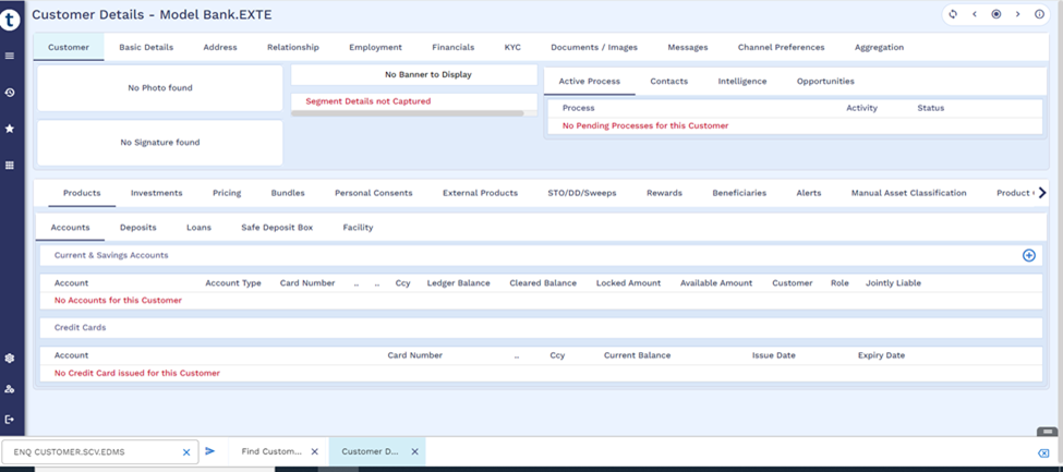 Check Customer Details 
